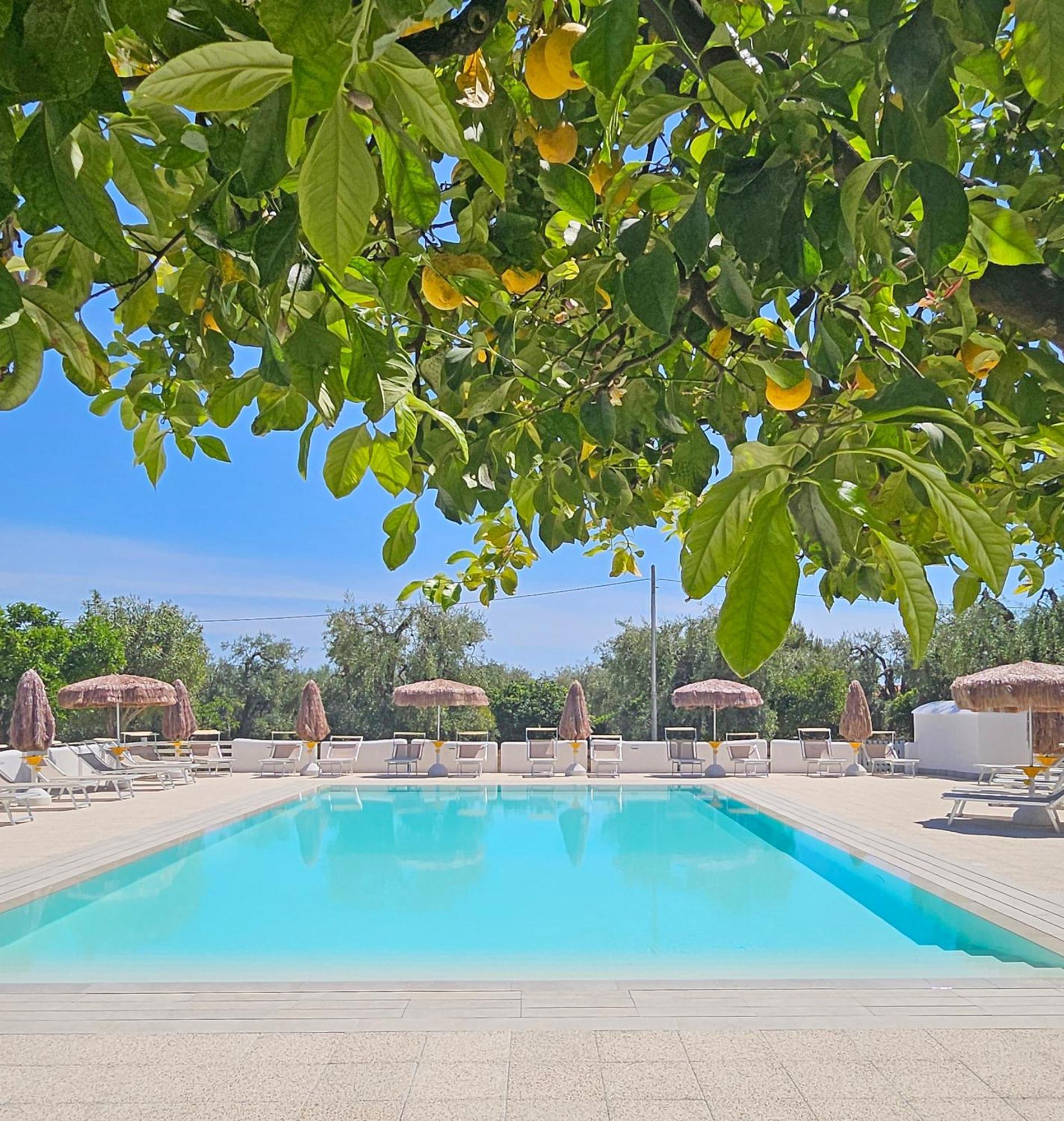 Hotel Residence Torre Del Porto Mattinata Exterior photo